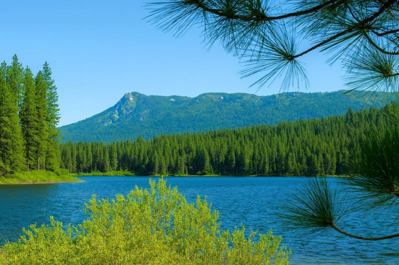 Best Bathroom Remodeling pros in Rosedale, MD